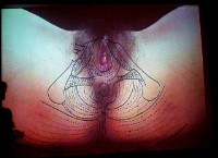 藏品(自畫像 II)的圖片